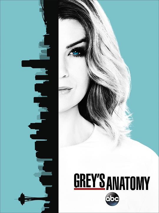 实习医生格蕾.第十三季[全24集][简繁英字幕].Greys.Anatomy.S13.1080p.DSNP.WEB-DL.DDP.5.1.H.264-BlackTV 62.69GB  