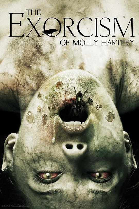 莫丽·哈特莉的驱魔[中文字幕].The.Exorcism.of.Molly.Hartley.2015.BluRay.1080p.DTS-HD.MA.5.1.x265.10bit-DreamHD 7.79GB 