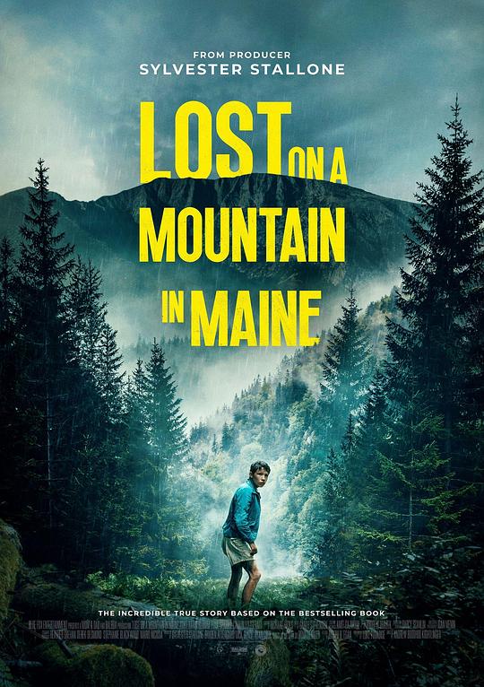 迷路[简繁英字幕].Lost.on.A.Mountain.in.Maine.2024.Bluray.1080p.DTS-HDMA5.1.x264-DreamHD 9.77GB 
