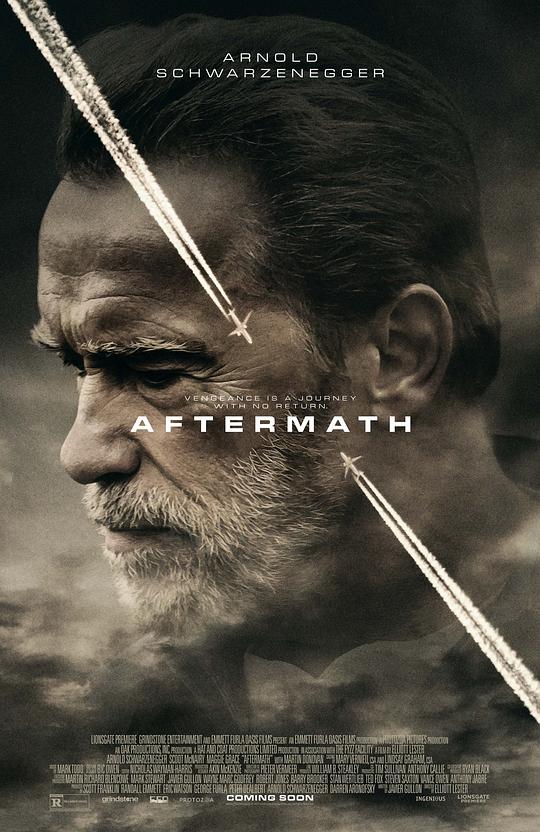 空难余波[无字片源].Aftermath.2017.BluRay.1080p.DTS.x264-DreamHD 9.00GB 