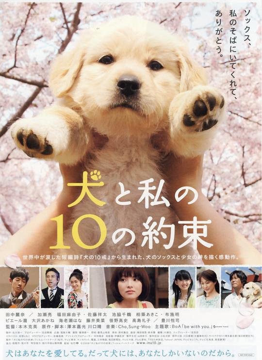 狗狗与我的十个约定[简繁英字幕].10.Promises.to.My.Dog.2008.1080p.WEBrip.x265.10bit.AC3￡SSDSSE 7.73GB 