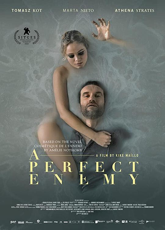 完美敌人[简繁英字幕].A.Perfect.Enemy.2020.BluRay.1080p.DTS-HD.MA.5.1.x264-DreamHD 10.62GB 