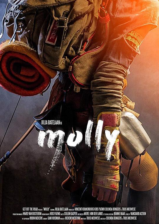 莫莉[无字片源].Molly.2017.BluRay.1080p.DD5.1.x265.10bit-DreamHD 4.64GB 