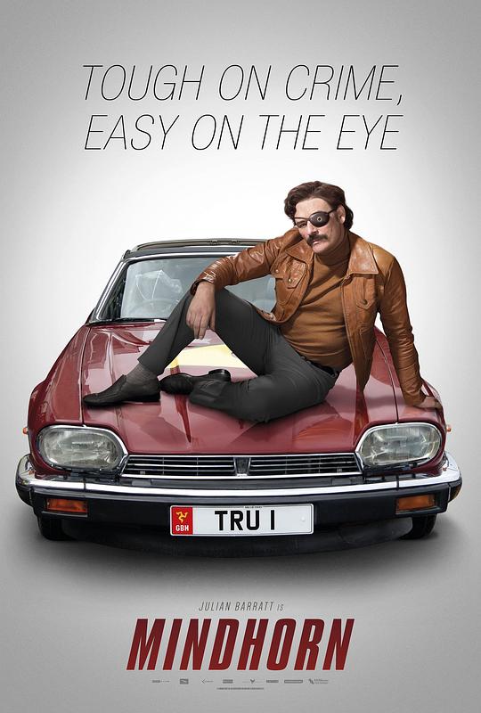 蛮好侦探[简繁英字幕].Mindhorn.2016.BluRay.1080p.DTS-HD.MA.5.1.x265.10bit-DreamHD 4.40GB 