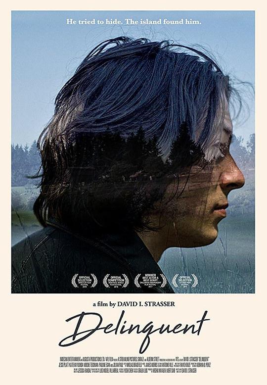少年犯[无字片源].Delinquent.2016.BluRay.1080p.DTS.x265.10bit-DreamHD 3.73GB 