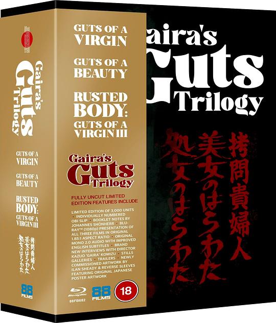 拷问贵妇人[简繁英字幕].Entrails.of.a.Beautiful.Woman.1987.1080p.BluRay.x265.10bit.FLAC-SSDSSE 7.48GB 