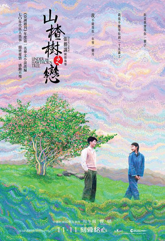 山楂树之恋[国语音轨/中文字幕].Under.the.Hawthorn.Tree.2010.BluRay.1080p.x265.10bit-SSDSSE 4.34GB 