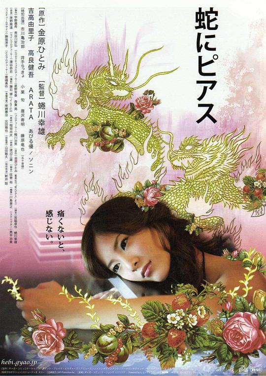 蛇舌[简繁字幕].Snakes.And.Earrings.2008.BluRay.1080p.x265.10bit.FLAC-SSDSSE 8.98GB 