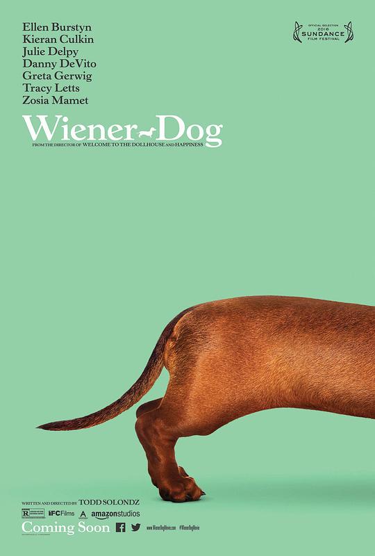 腊肠狗[国英多音轨/简繁英字幕].Wiener-Dog.2016.BluRay.1080p.x265.10bit.2Audio.DD5.1-SSDSSE 6.96GB 