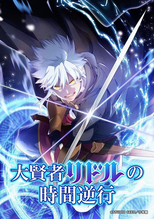 大贤者利多尔的时间逆行[全集][中文字幕].1080p