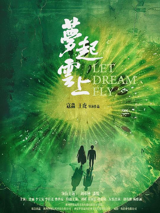 梦起云上[国语配音/中文字幕].Let.Dream.Fly.2024.2160p.WEB-DL.H265.DDP5.1-QuickIO 2.61GB 