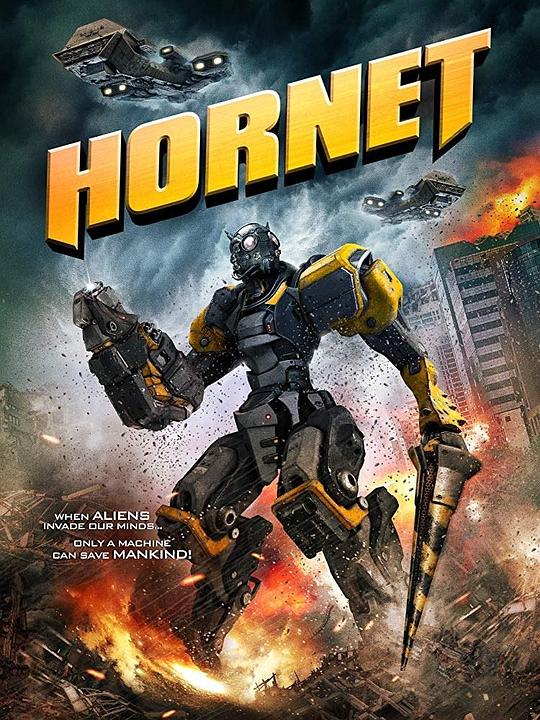 山寨大黄蜂[中文字幕].Hornet.2018.1080p.WEB-DL.H264.AAC-PandaQT 2.66GB 