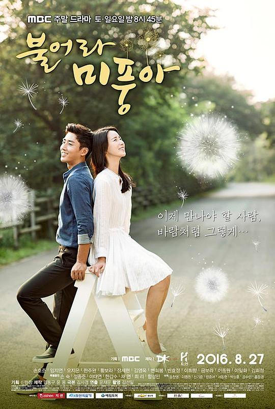 吹吧，微风啊[全50集][国韩多音轨/中文字幕].Windy.Mi-poong.S01.1080p.HamiVideo.WEB-DL.AAC2.0.H.264-BlackTV 201.07GB  
