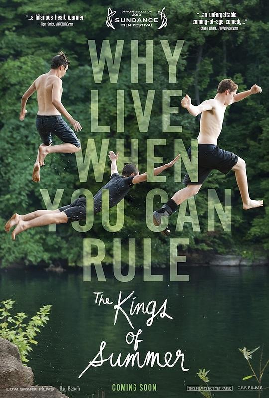 夏日之王[无字片源].The.Kings.of.Summer.2013.BluRay.1080p.DTS.x264-DreamHD 8.70GB 