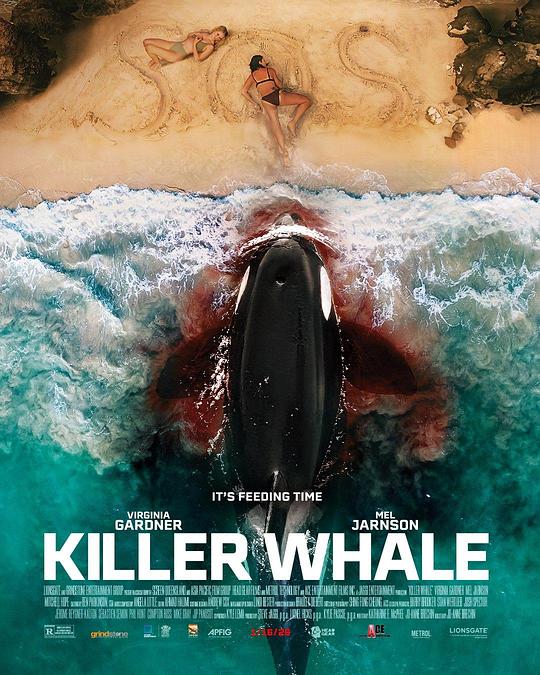 杀人鲸[简繁英字幕].Killer.Whale.2026.Bluray.1080p.DTS-HD.MA.5.1.x265.10bit-DreamHD 4.74GB 